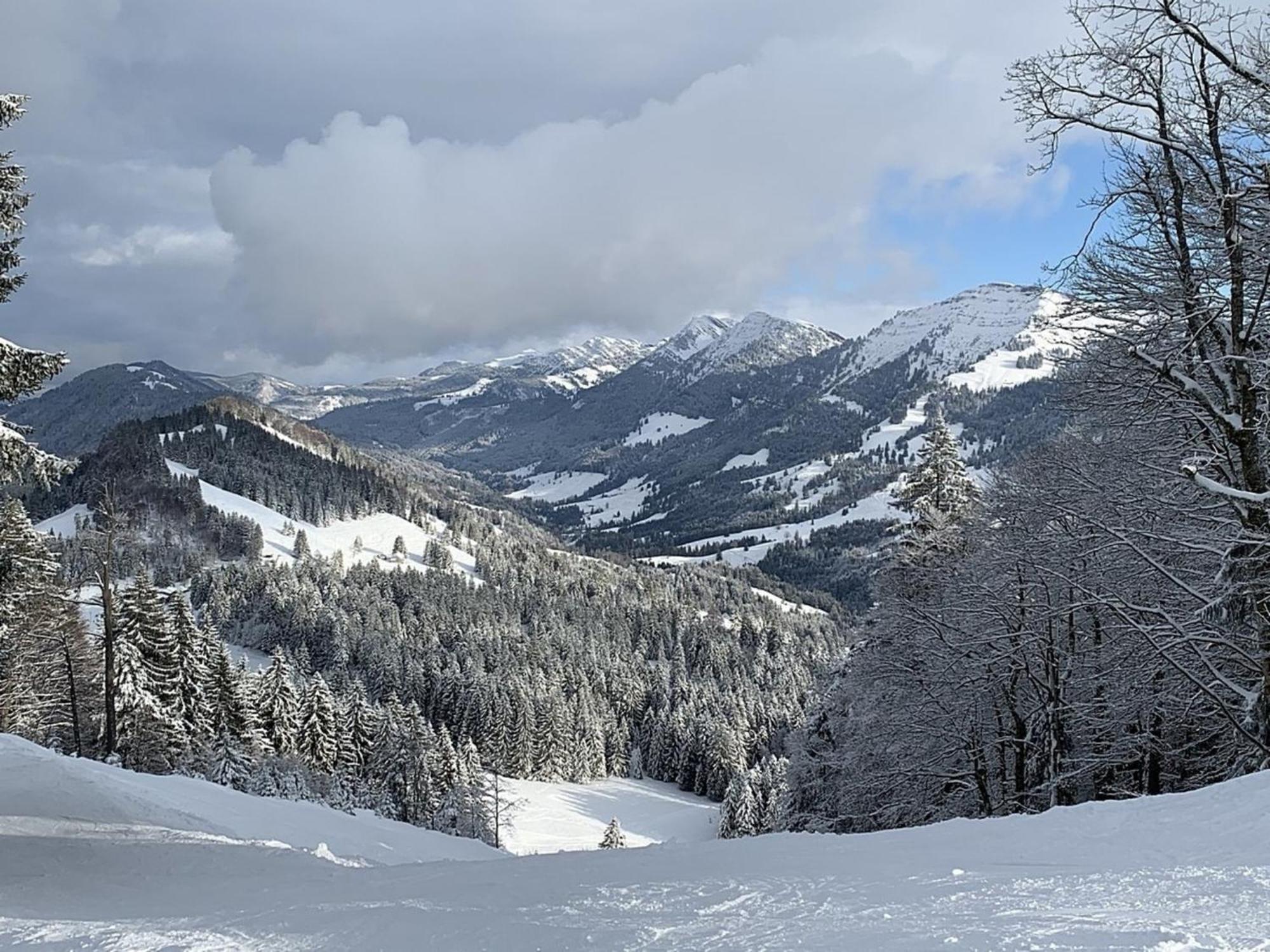 Appartement Nr 19, Alpenappartementhaus, Oberstaufen-Steibis, Allgaeu, Oberstaufen Plus Eksteriør billede