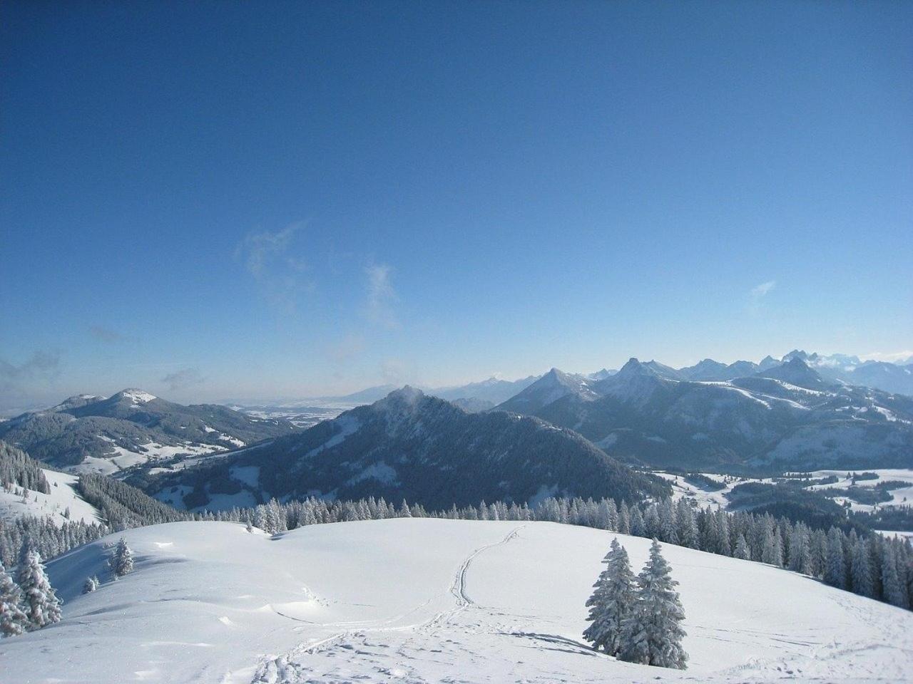 Appartement Nr 19, Alpenappartementhaus, Oberstaufen-Steibis, Allgaeu, Oberstaufen Plus Eksteriør billede